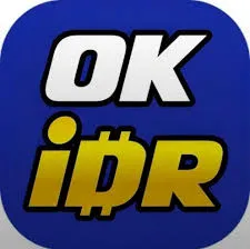 OKIDR - Petualangan Seru di Dunia ARPG